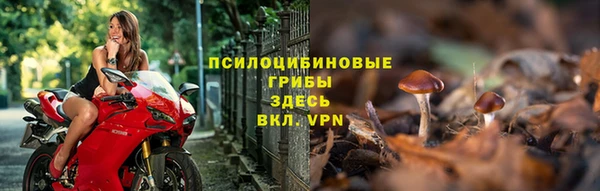 MESCALINE Белокуриха