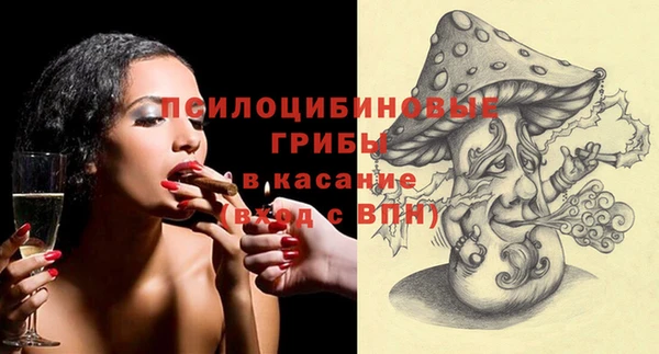 прущая мука Богородицк